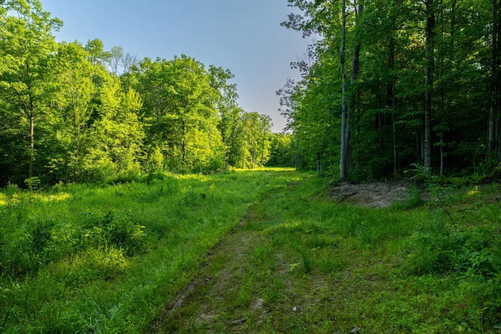 0000 State Highway 27 0000 Exeland, WI 54843