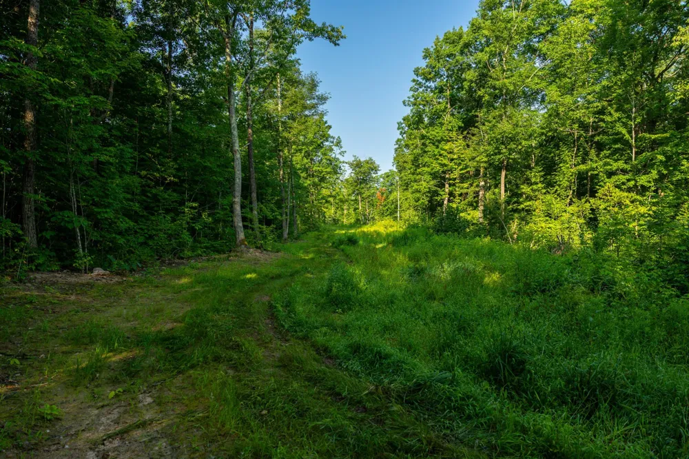 0000 State Highway 27 0000 Exeland, WI 54843