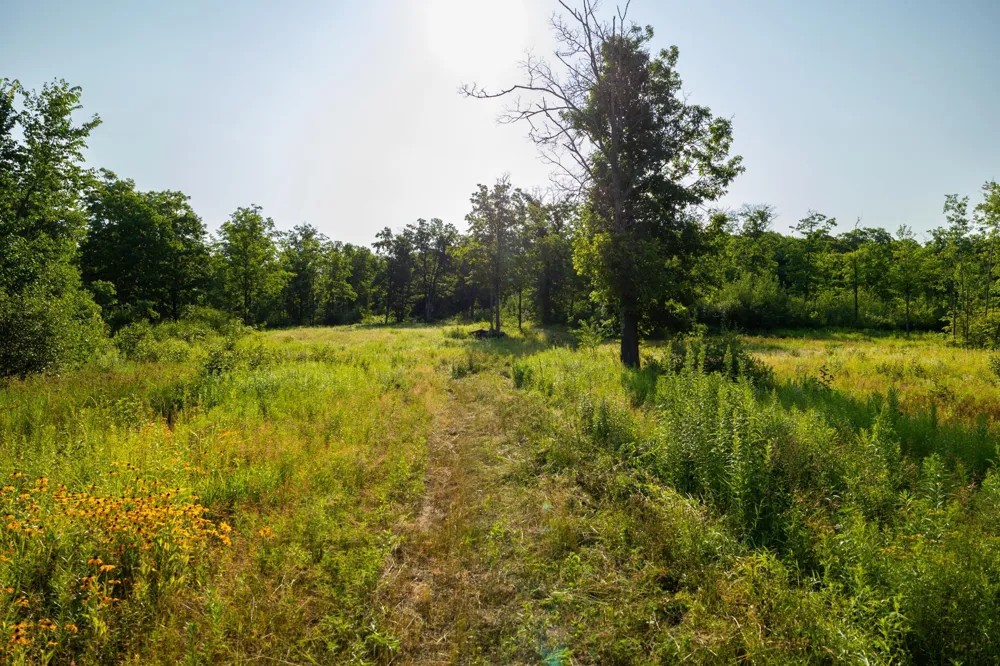 0000 State Highway 27 0000 Exeland, WI 54843