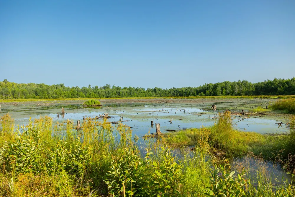 0000 State Highway 27 0000 Exeland, WI 54843