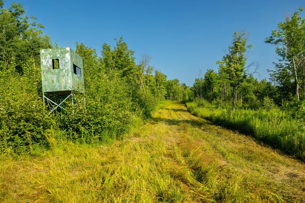 0000 State Highway 27 0000 Exeland, WI 54843