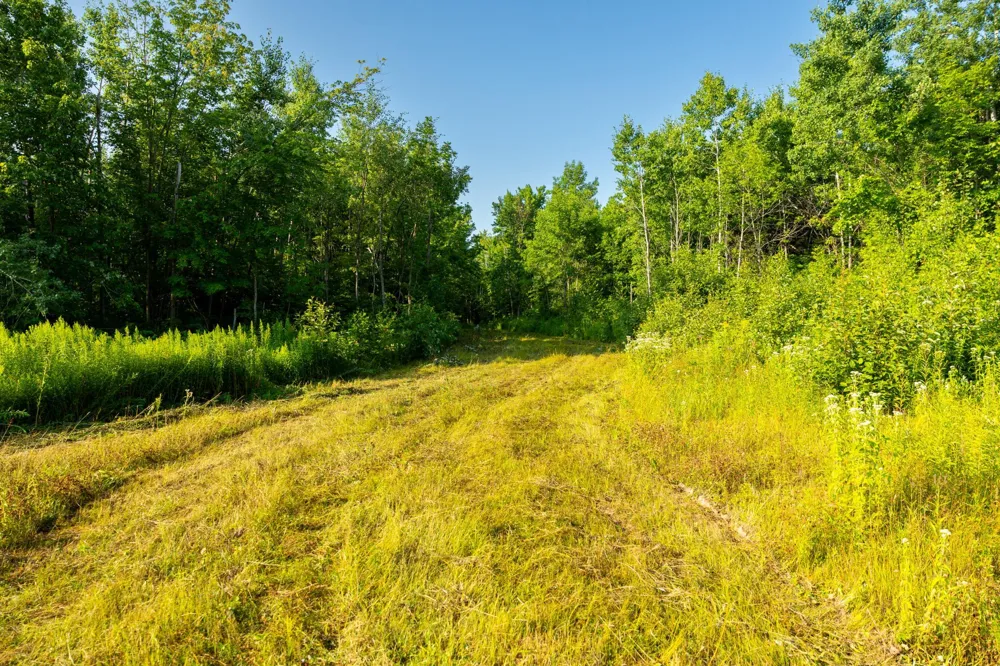 0000 State Highway 27 0000 Exeland, WI 54843