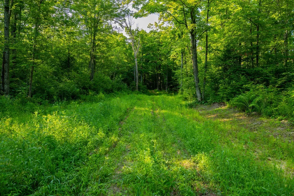 0000 State Highway 27 0000 Exeland, WI 54843