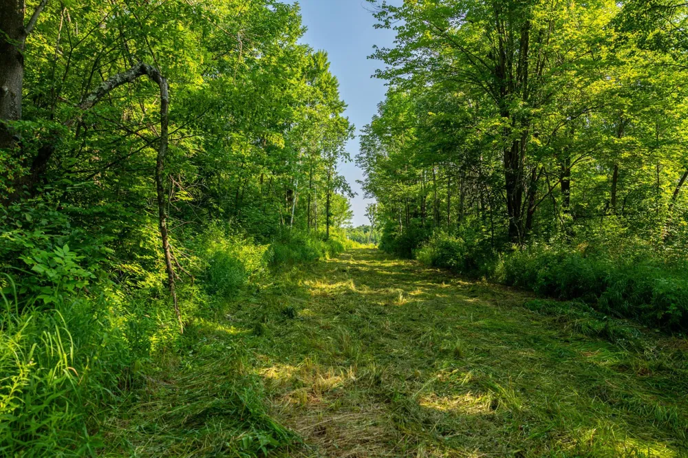 0000 State Highway 27 0000 Exeland, WI 54843