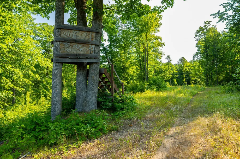 0000 State Highway 27 0000 Exeland, WI 54843