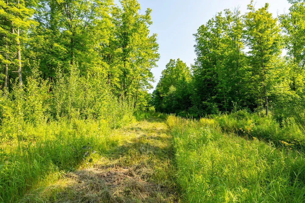 0000 State Highway 27 0000 Exeland, WI 54843