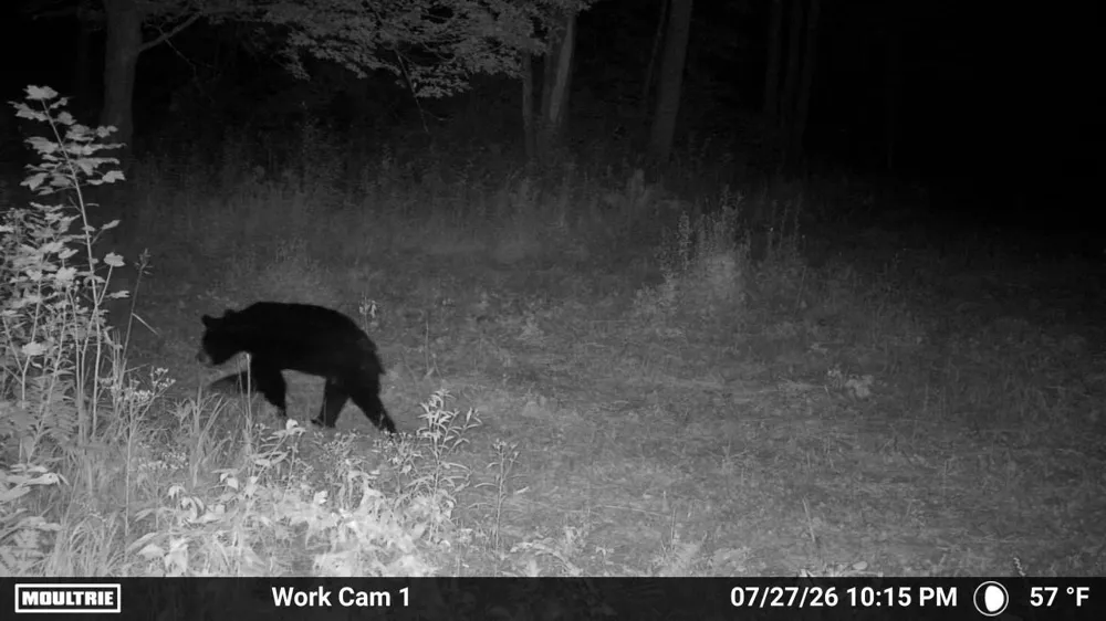 0000 State Highway 27 0000 Exeland, WI 54843