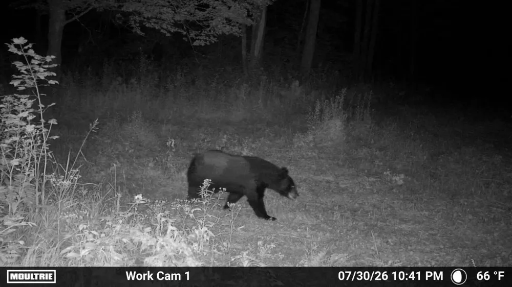 0000 State Highway 27 0000 Exeland, WI 54843