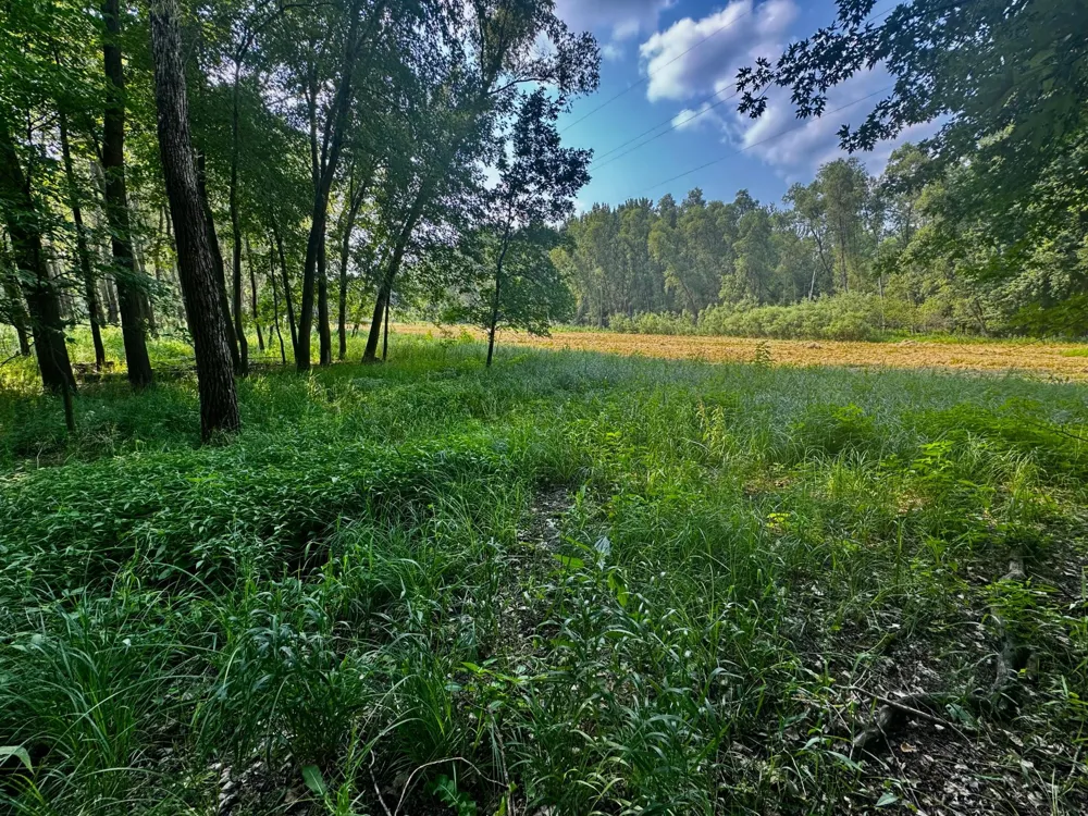 TBD Grove Street Le Sueur, MN 56058