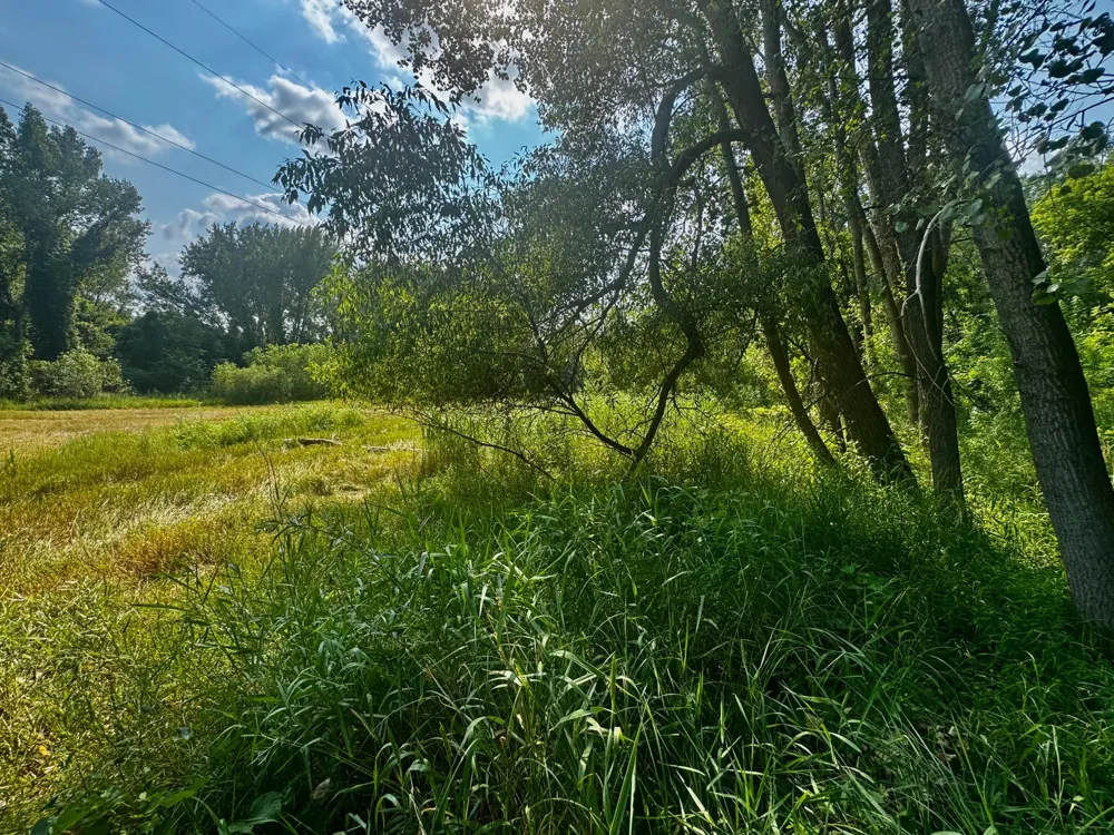 TBD Grove Street Le Sueur, MN 56058