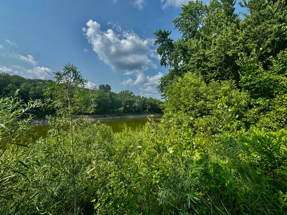 TBD Grove Street Le Sueur, MN 56058