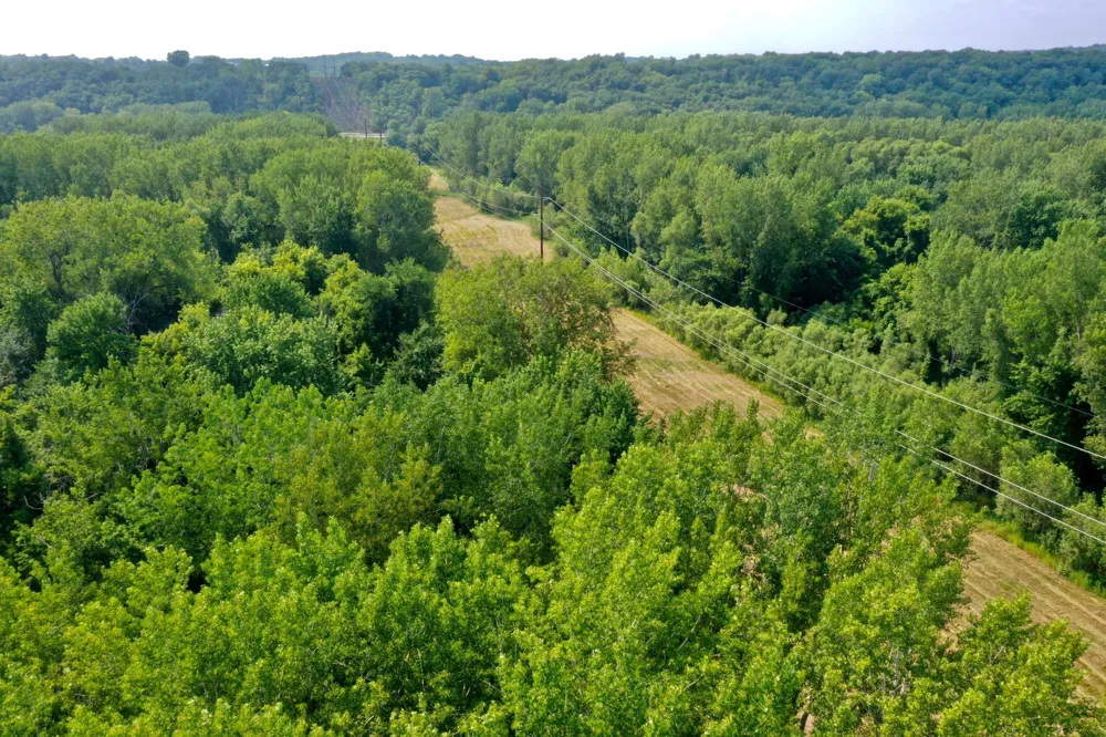 TBD Grove Street Le Sueur, MN 56058