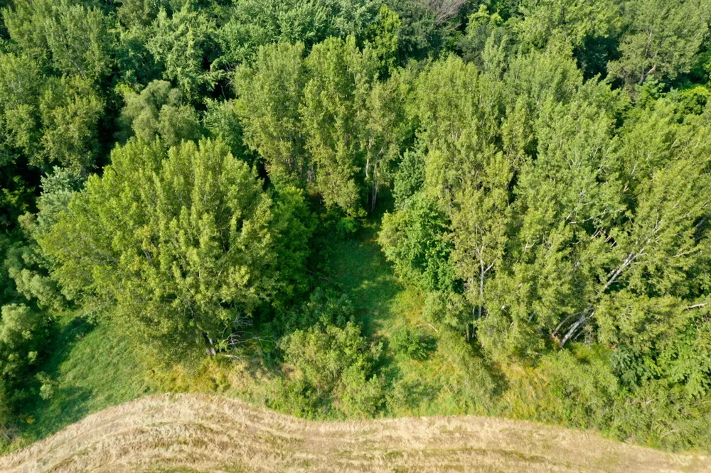 TBD Grove Street Le Sueur, MN 56058