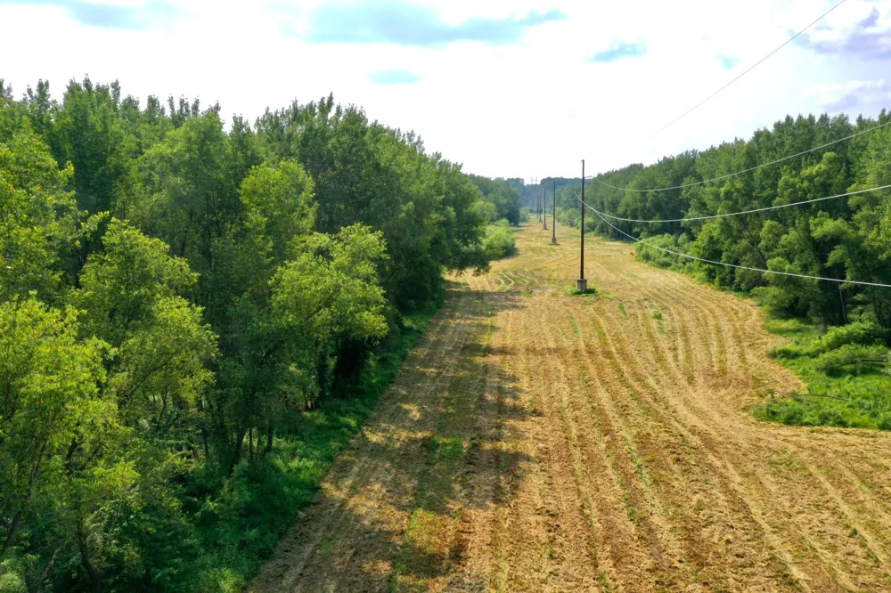 TBD Grove Street Le Sueur, MN 56058