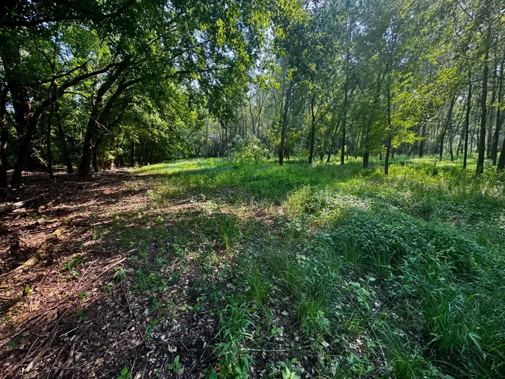TBD Grove Street Le Sueur, MN 56058