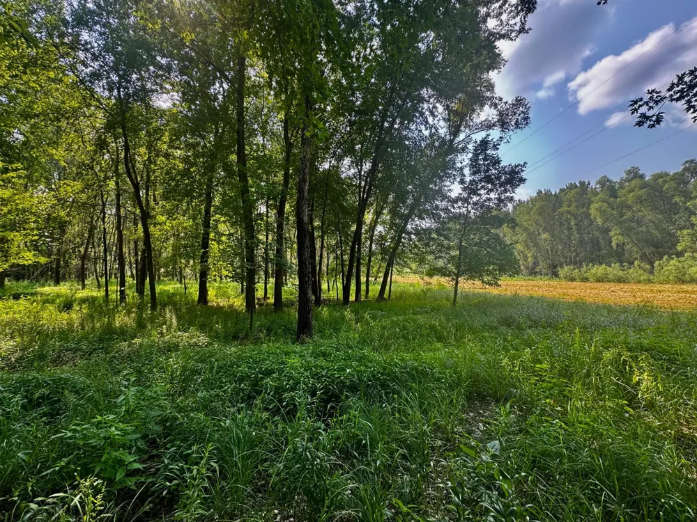 TBD Grove Street Le Sueur, MN 56058
