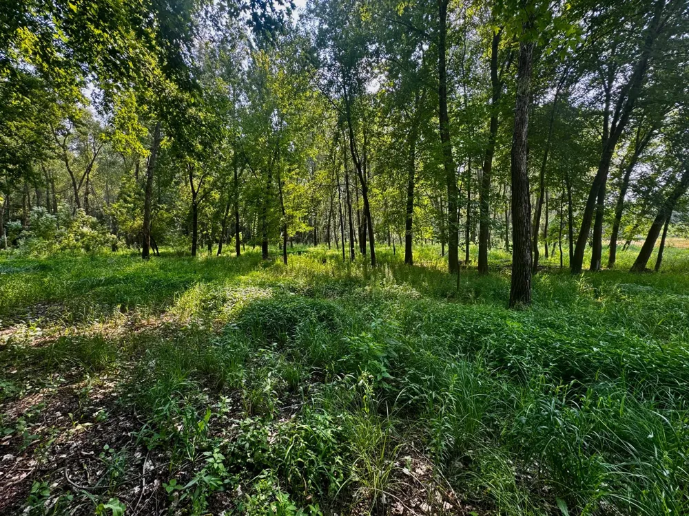 TBD Grove Street Le Sueur, MN 56058