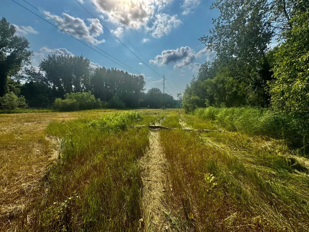 TBD Grove Street Le Sueur, MN 56058