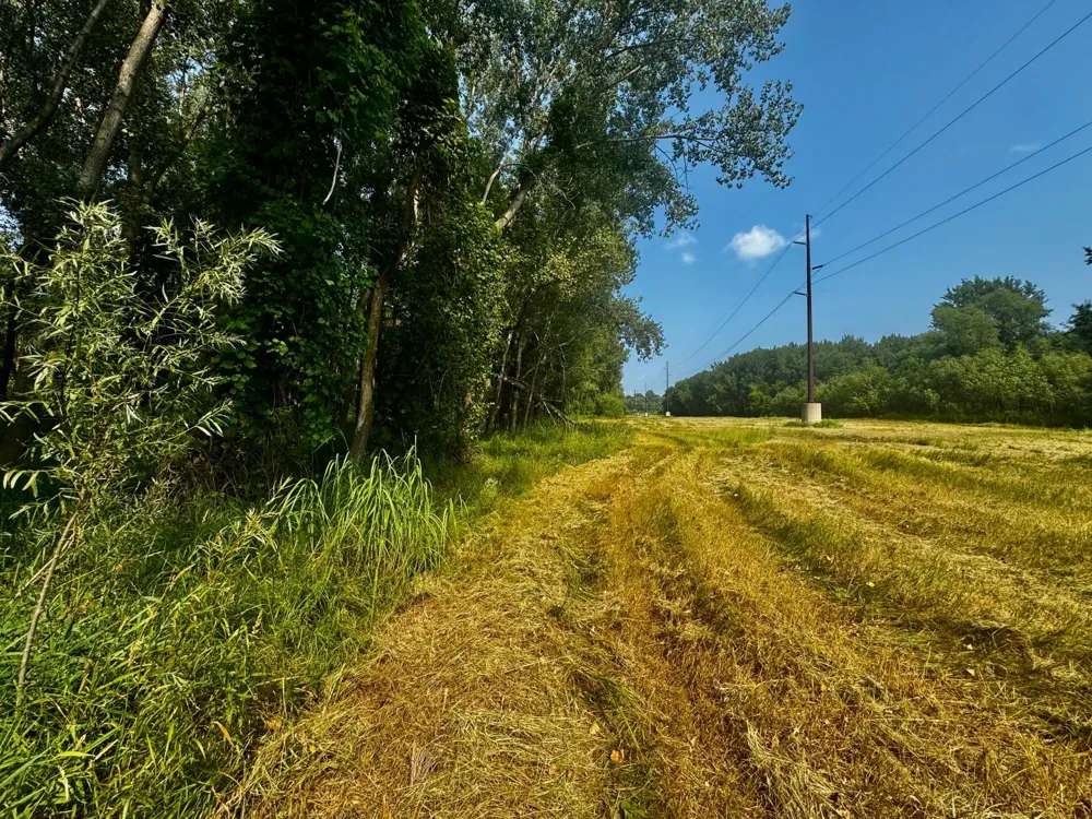 TBD Grove Street Le Sueur, MN 56058