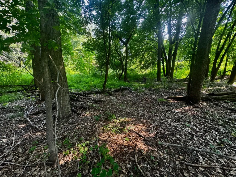 TBD Grove Street Le Sueur, MN 56058