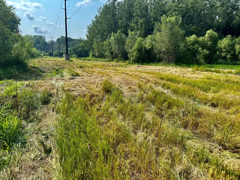 TBD Grove Street Le Sueur, MN 56058
