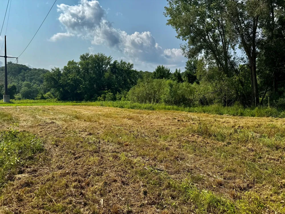 TBD Grove Street Le Sueur, MN 56058