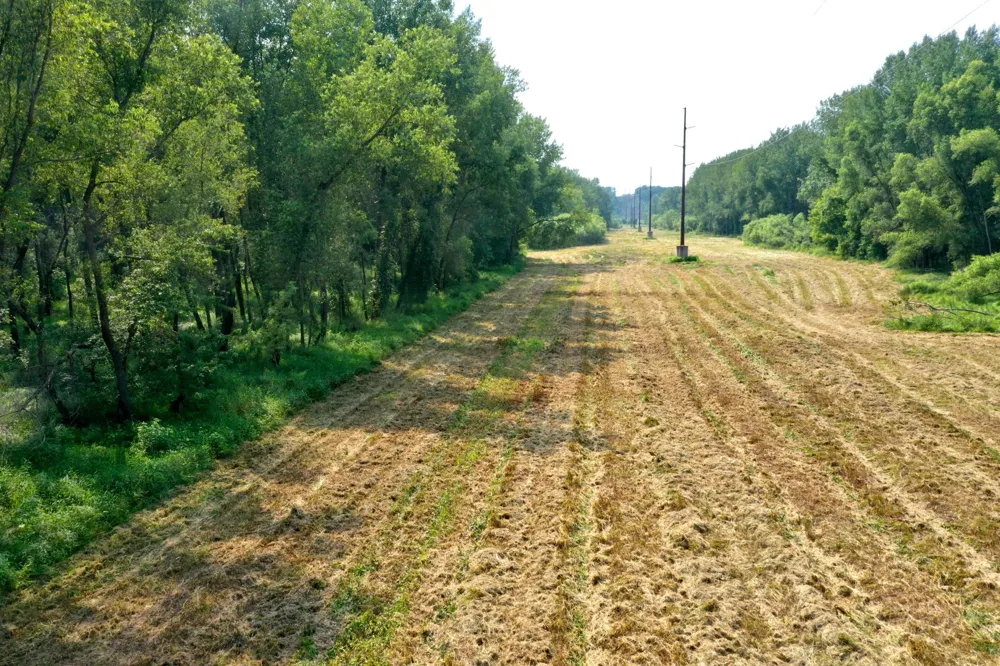 TBD Grove Street Le Sueur, MN 56058