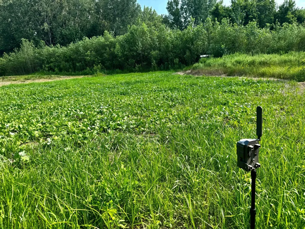 TBD Grove Street Le Sueur, MN 56058
