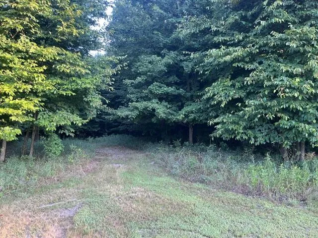 9 Mile Road Kaleva, MI 49645