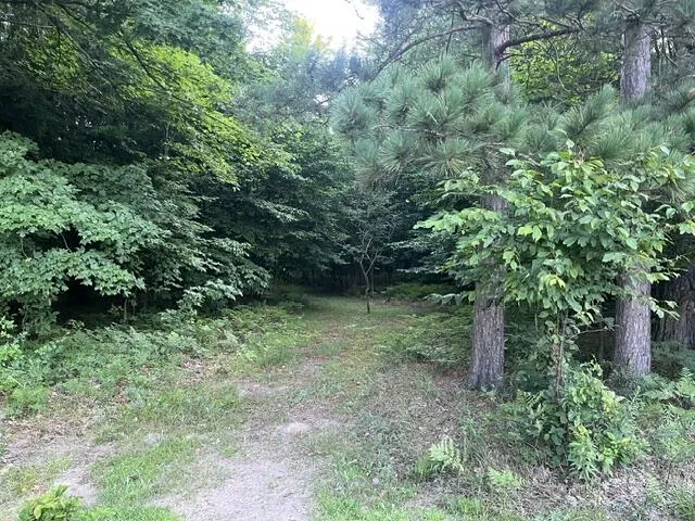 9 Mile Road Kaleva, MI 49645