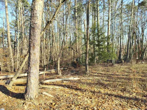 343 Beech Drive