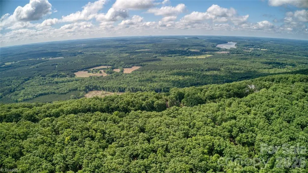 1616 Sierra Trace Road Denton, NC 27239