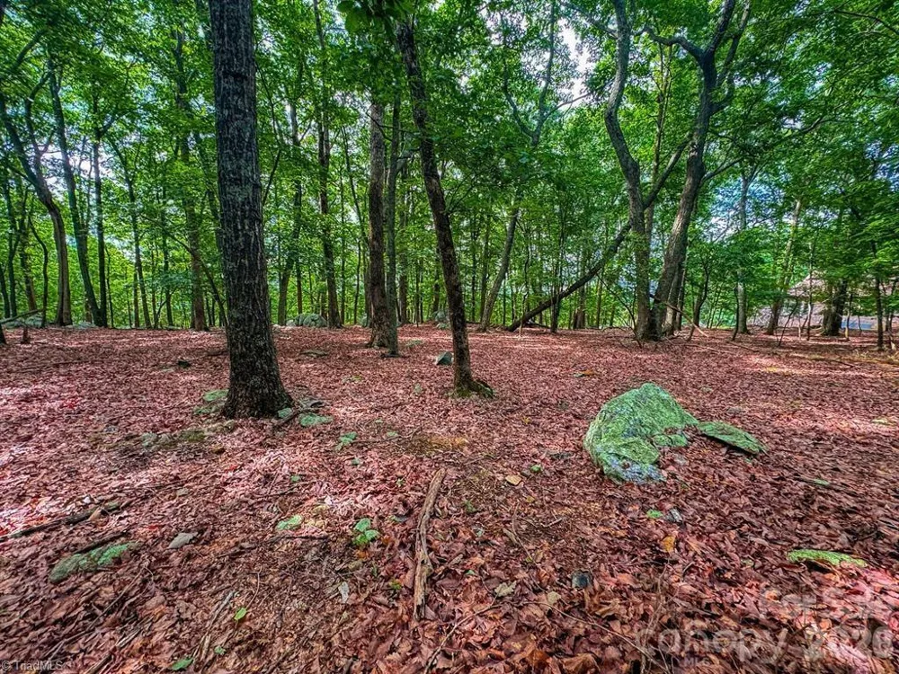 1616 Sierra Trace Road Denton, NC 27239