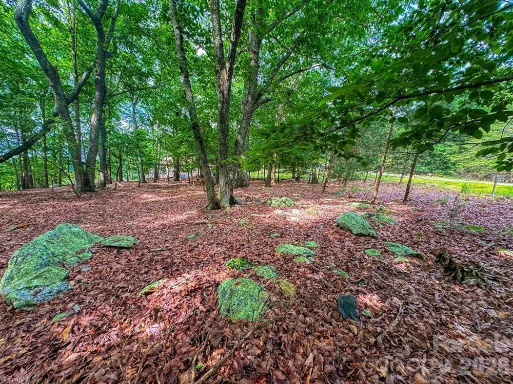 1616 Sierra Trace Road Denton, NC 27239