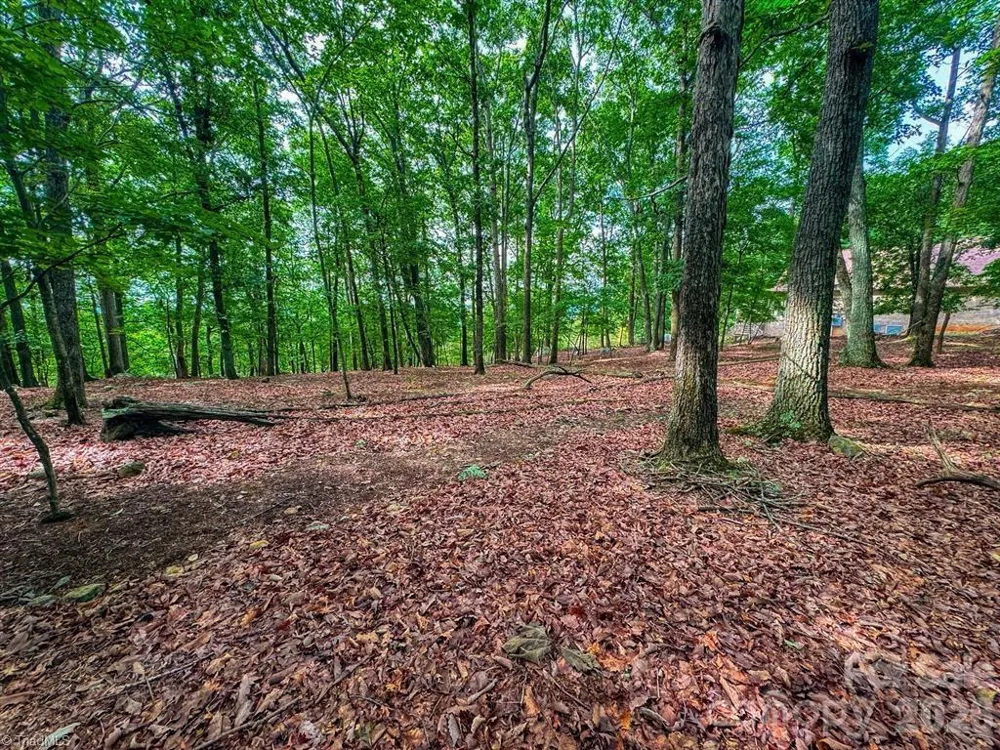 1616 Sierra Trace Road Denton, NC 27239