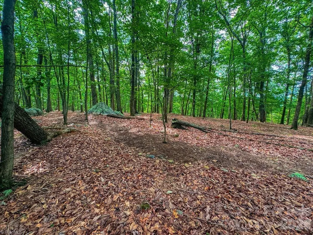 1616 Sierra Trace Road Denton, NC 27239