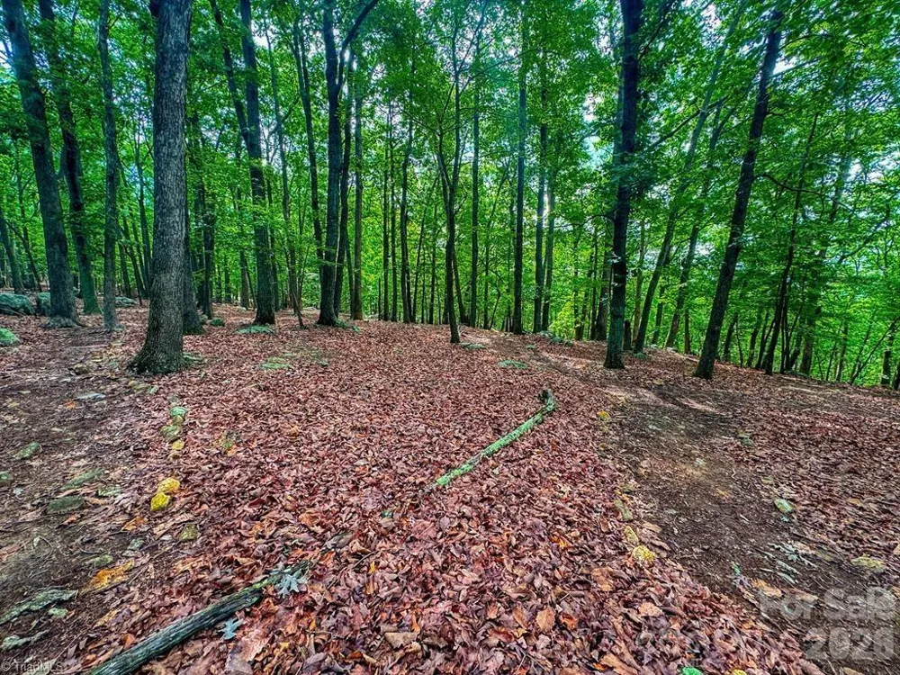 1616 Sierra Trace Road Denton, NC 27239