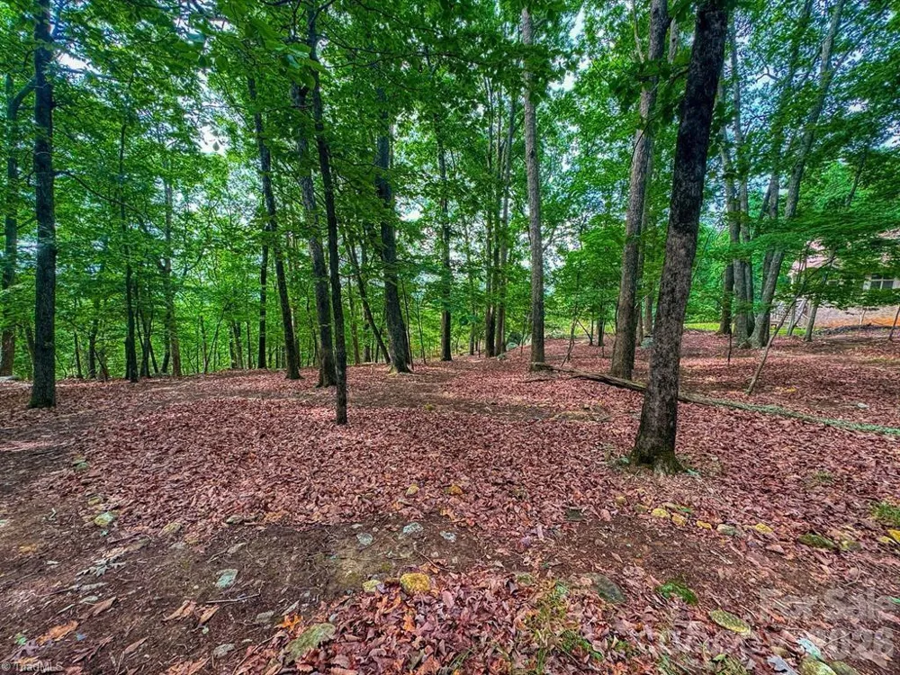 1616 Sierra Trace Road Denton, NC 27239