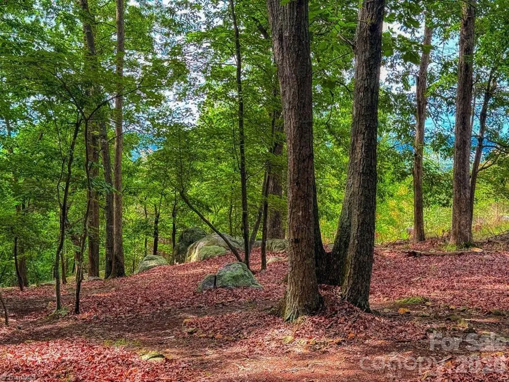 1616 Sierra Trace Road Denton, NC 27239