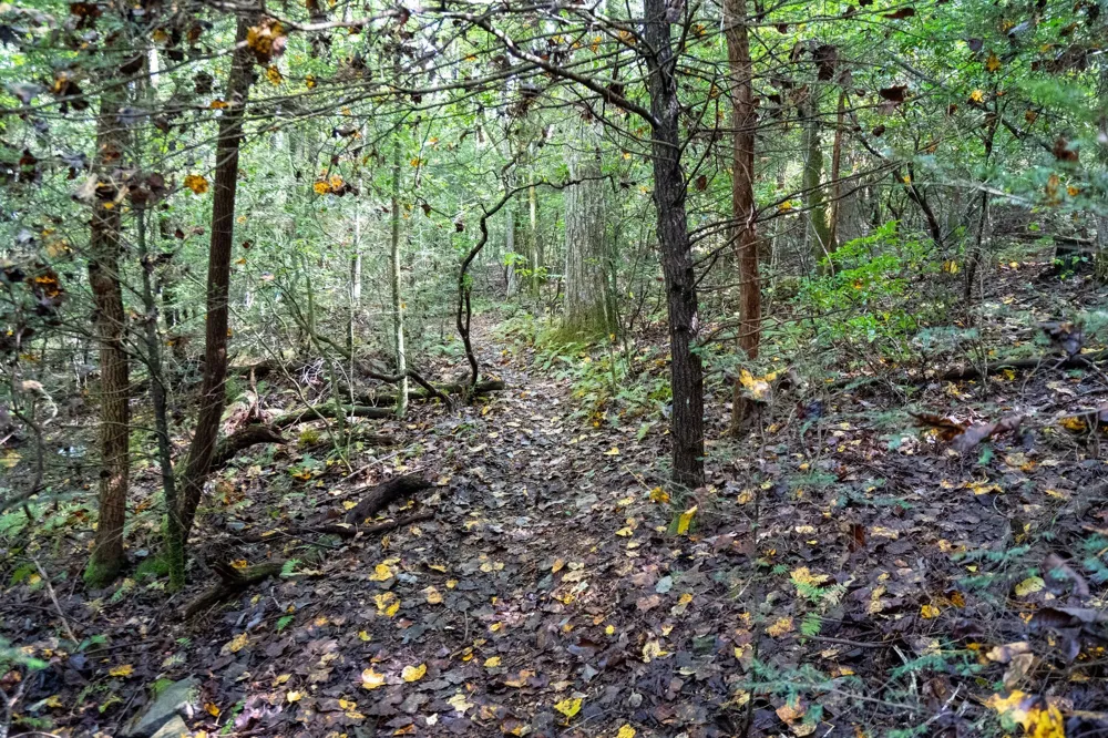 0 Woodly Branch Rd Monteagle, TN 37356