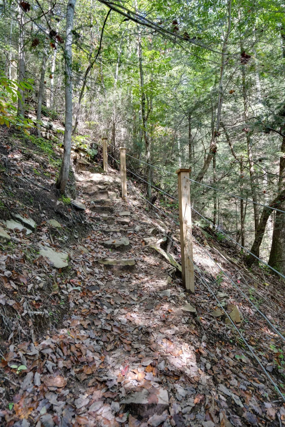 0 Woodly Branch Rd Monteagle, TN 37356