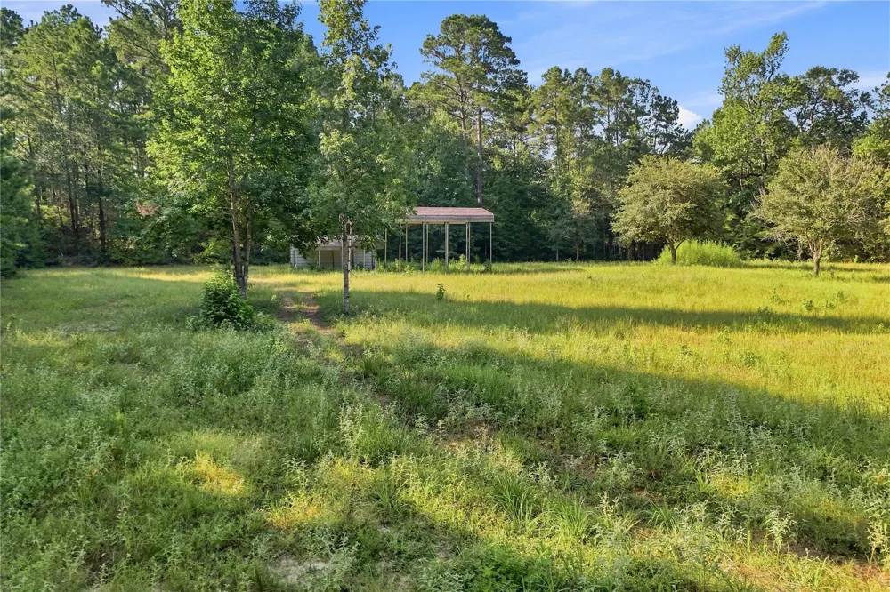 Hughes Loop Willis, TX 77378