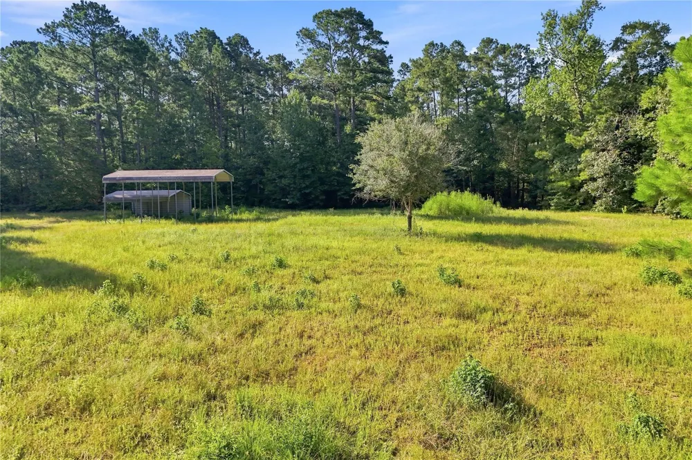 Hughes Loop Willis, TX 77378