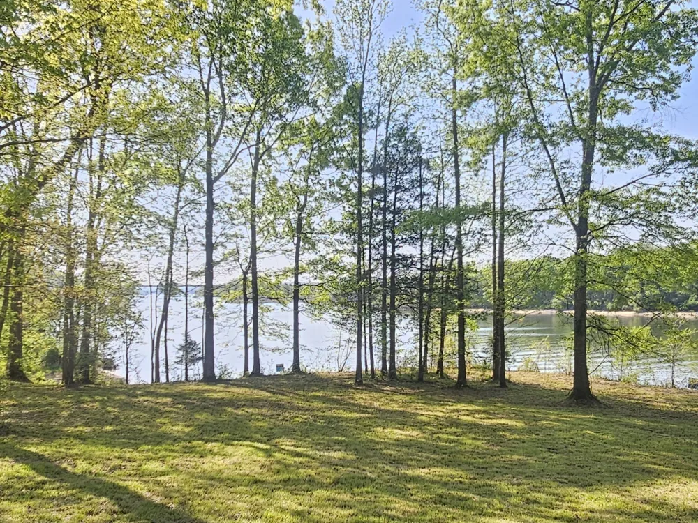 4 Island View Dr Bath Springs, TN 38311