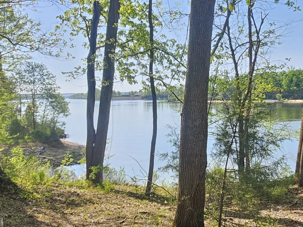 4 Island View Dr Bath Springs, TN 38311
