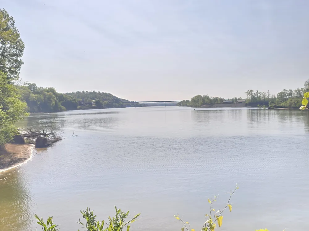 4 Island View Dr Bath Springs, TN 38311