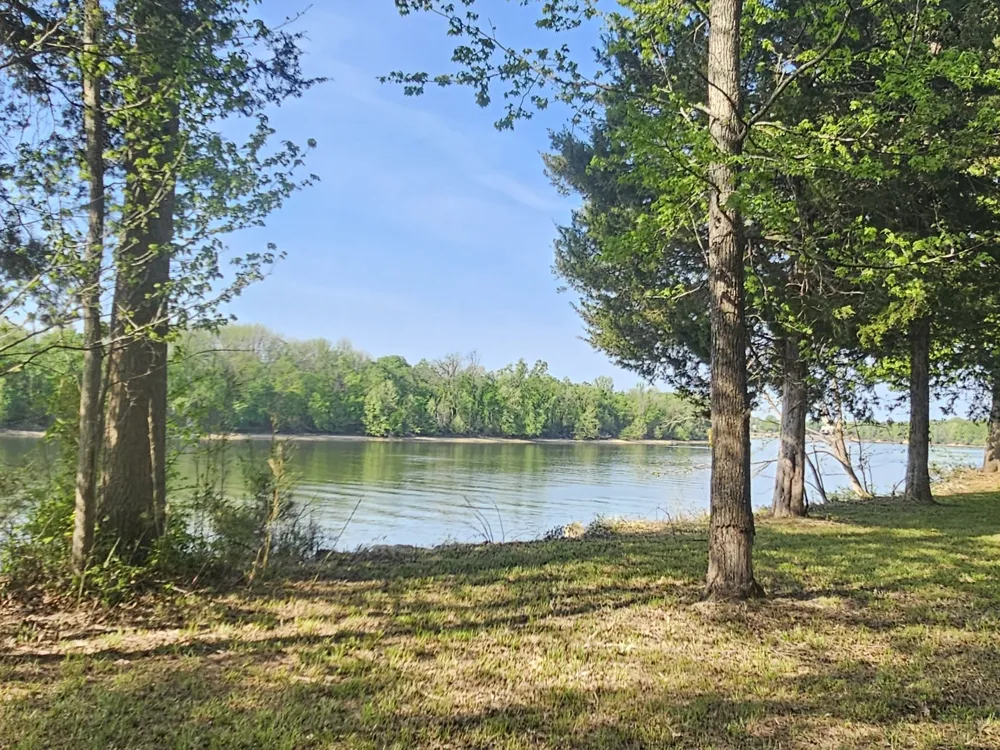 4 Island View Dr Bath Springs, TN 38311