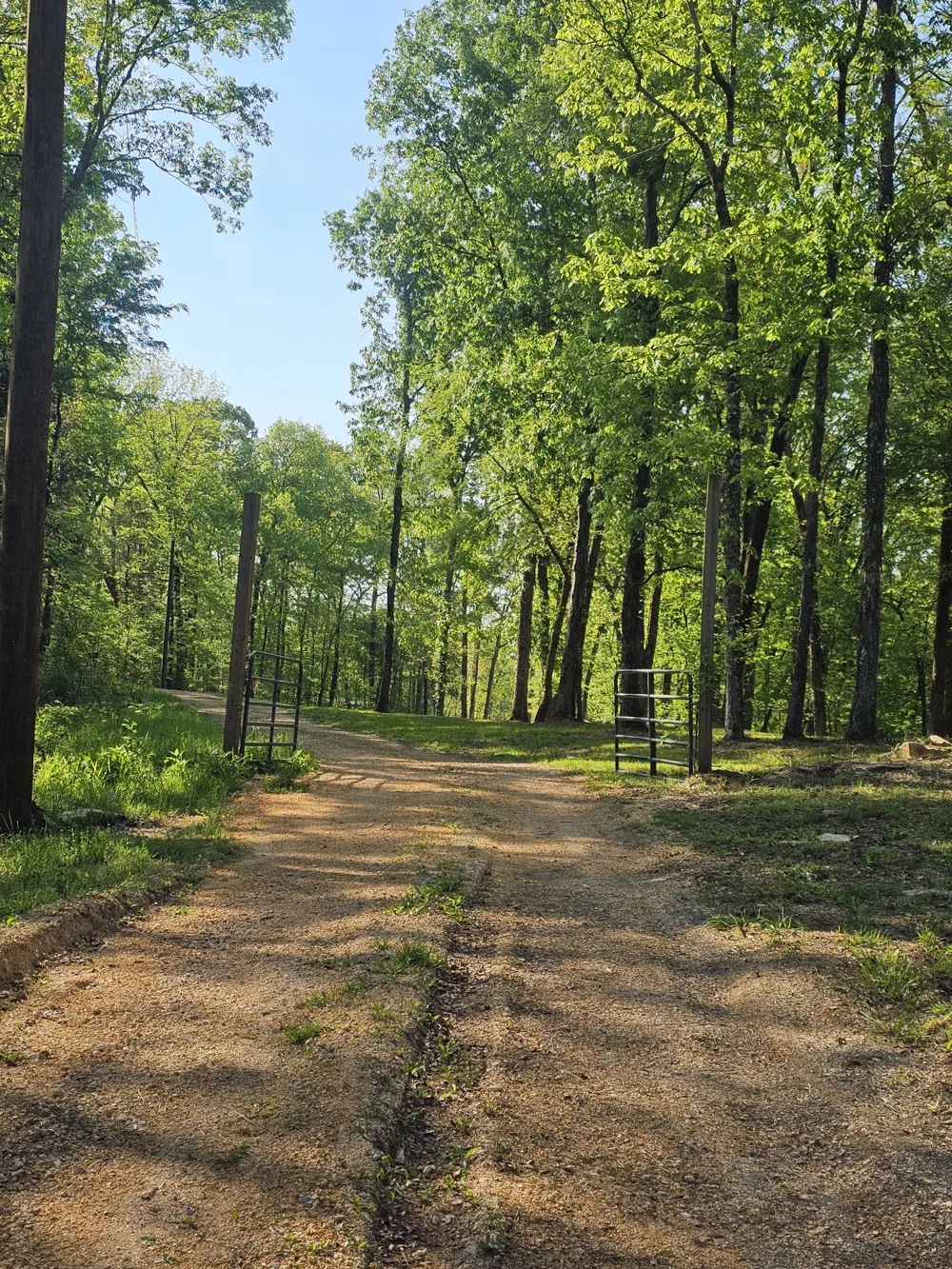 4 Island View Dr Bath Springs, TN 38311
