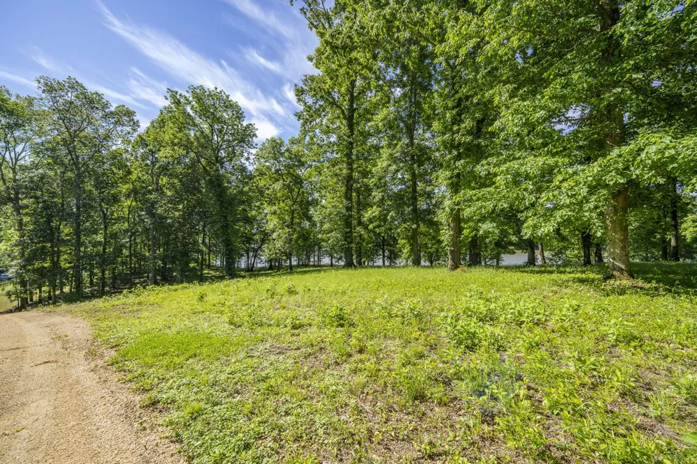4 Island View Dr Bath Springs, TN 38311
