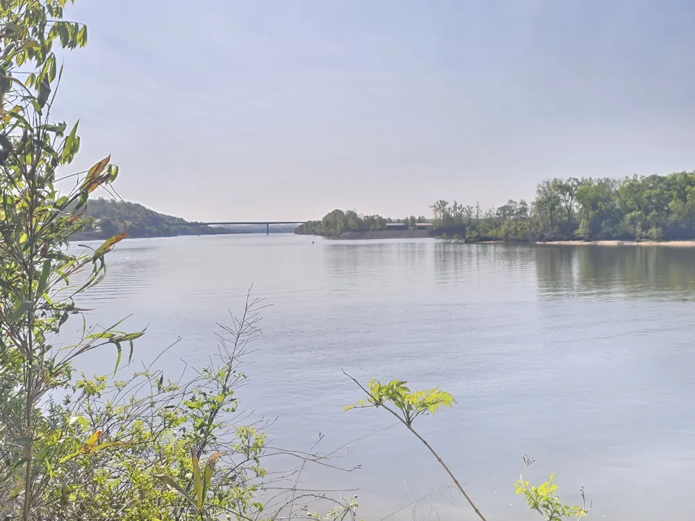 4 Island View Dr Bath Springs, TN 38311